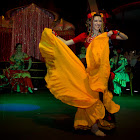 IMG_9232.jpg