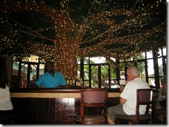 Main Tree Bar 2