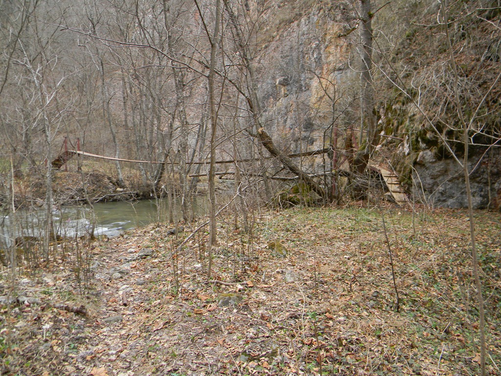 [DSCN86553.jpg]