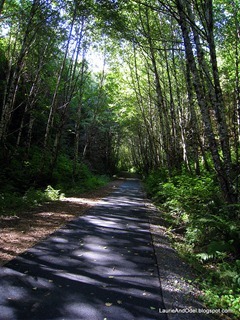 Vernonia Banks State Trail