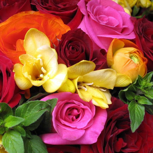 Hd-171749-ascw171749