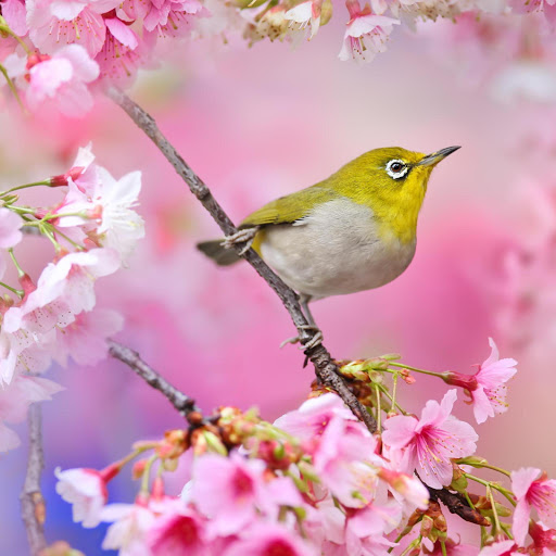 Hd-171639-ascw171639