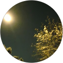 Carrie Fitzpatrick profile picture