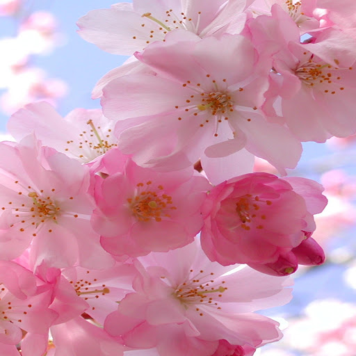 Hd-167874-ascw167874