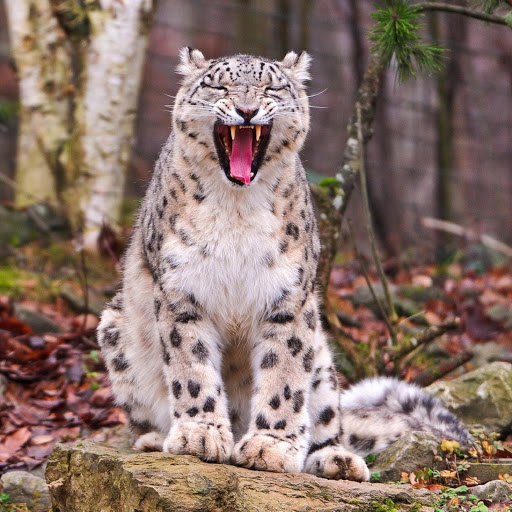 Hd-180440-ascw180440