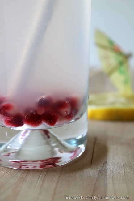 Pomegranate Lemonade Ice via homework  carolynshomework (7)