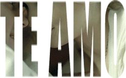 anjinha.png