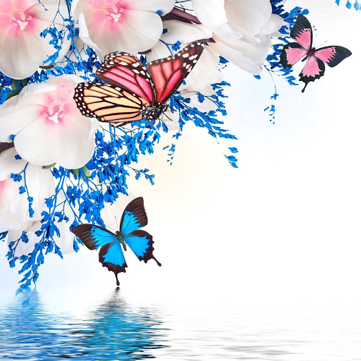 Hd-173720-ascw173720