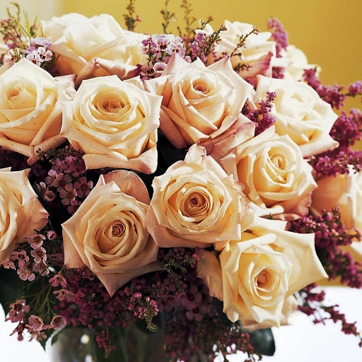 Hd-146260-ascw146260