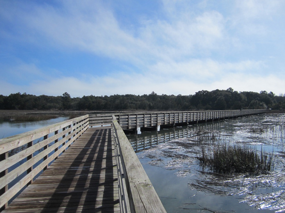 [10%2520boardwalk%2520mud%255B3%255D.jpg]