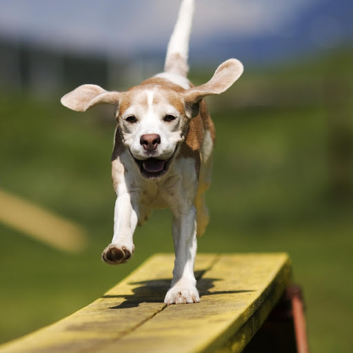 Hd-173753-ascw173753