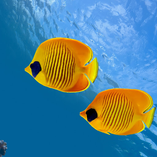 Hd-183948-ascw183948