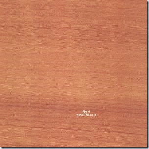 W11345