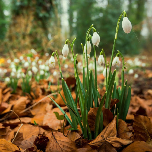 Hd-174694-ascw174694