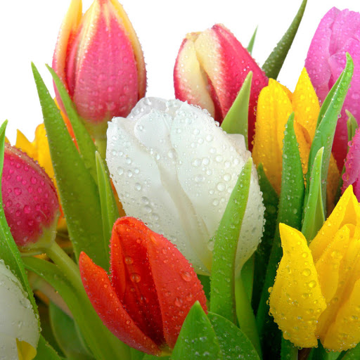 Hd-171455-ascw171455