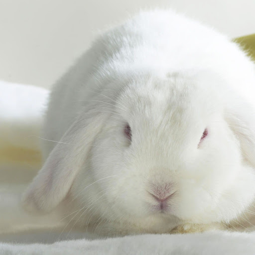 Hd-147221-ascw147221