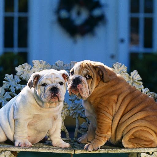 Hd-148574-ascw148574