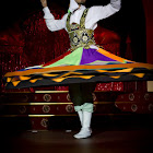 IMG_6817.jpg