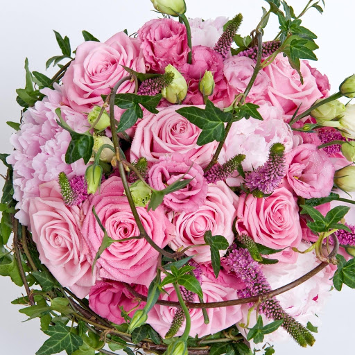 Hd-172102-ascw172102