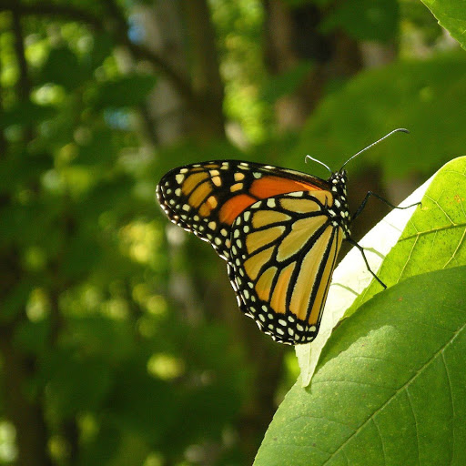 Hd-138277-ascw138277