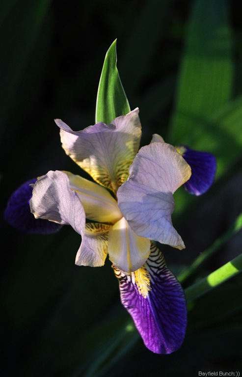 [DSC_0044%255B4%255D.jpg]