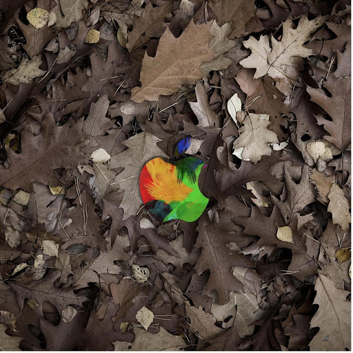 Hd-150181-ascw150181