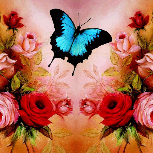 Hd-167210-ascw167210