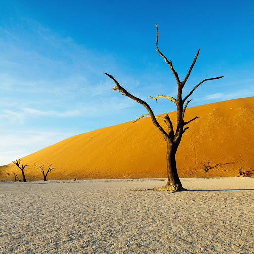 Hd-140644-ascw140644