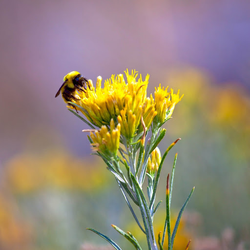 Hd-152851-ascw152851