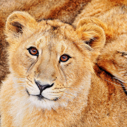 Hd-159929-ascw159929