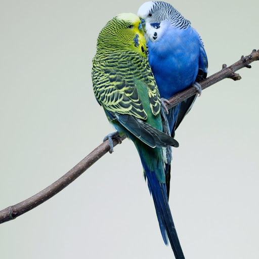 Hd-173579-ascw173579