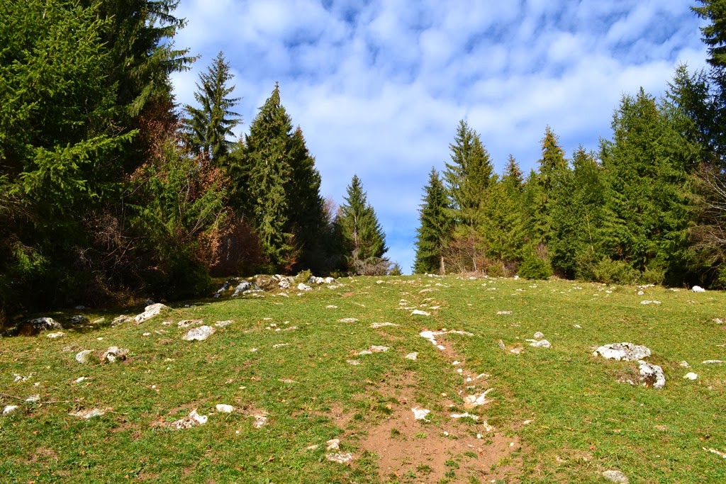 [DSC_00423.jpg]