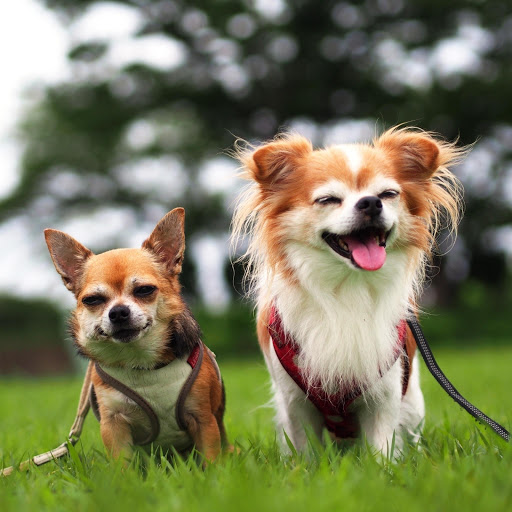 Hd-147418-ascw147418