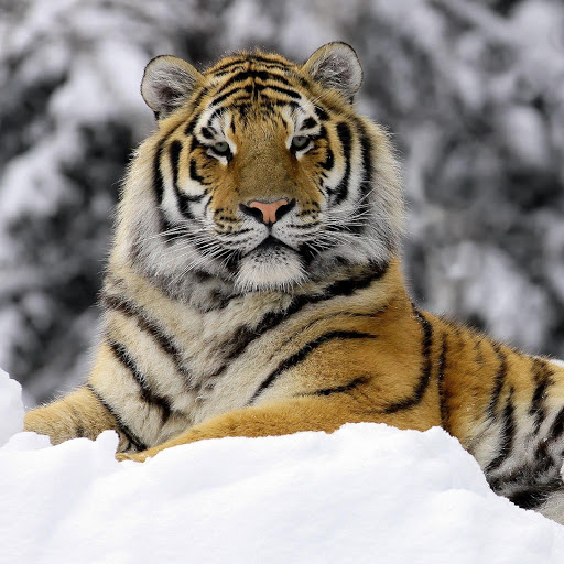 Hd-180445-ascw180445