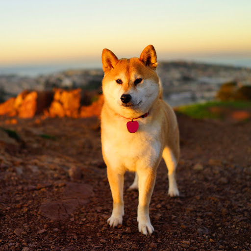 Hd-156616-ascw156616