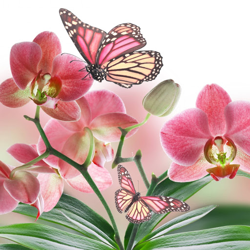 Hd-136967-ascw136967