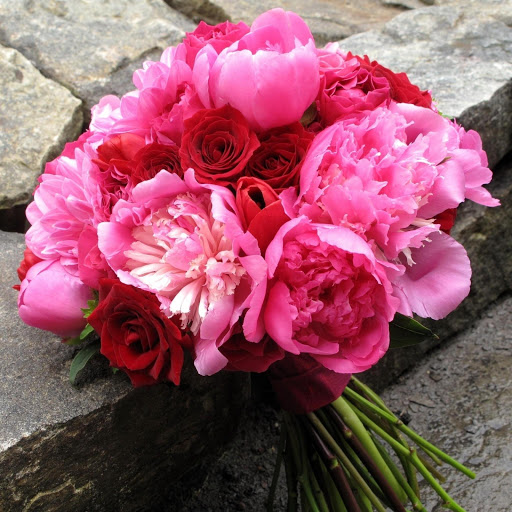 Hd-149225-ascw149225