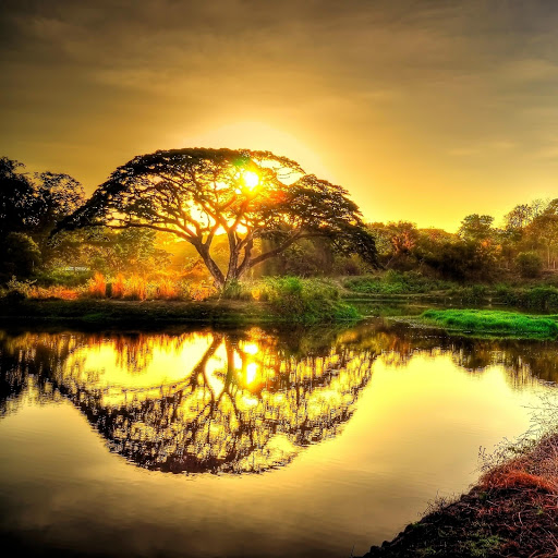 Hd-152211-ascw152211