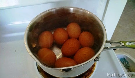 14. boiling eggs 1-26-15