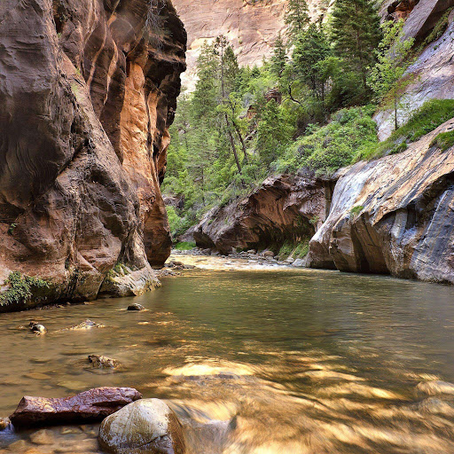 Hd-155661-ascw155661