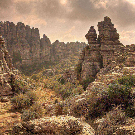 Hd-155130-ascw155130