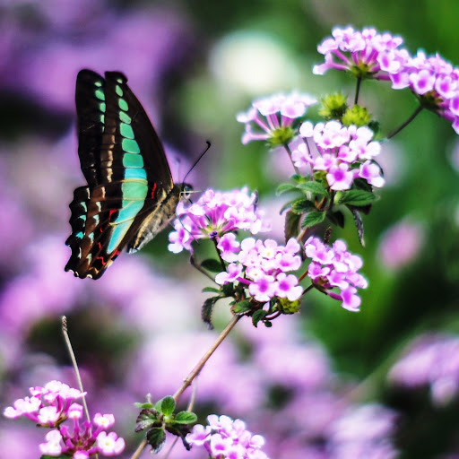 Hd-146322-ascw146322