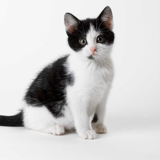 Hd-173787-ascw173787