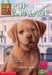 [Pup-at-the-Palace3.jpg]