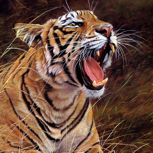 Hd-180057-ascw180057