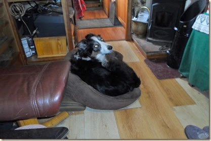 SAM_0221 SAM_0221