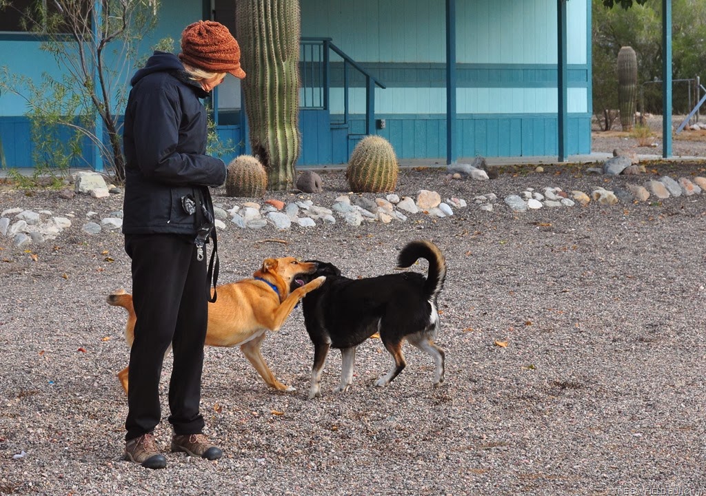 [DSC_0001%255B4%255D.jpg]