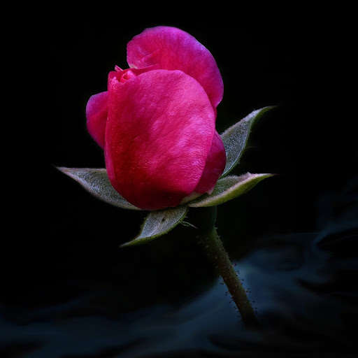 Hd-177138-ascw177138