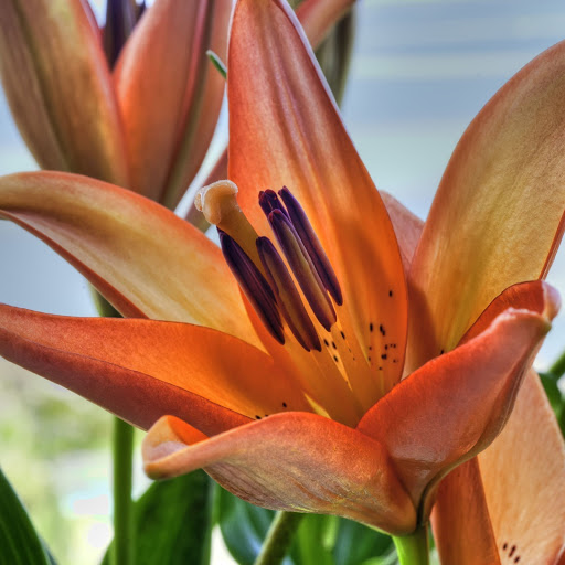 Hd-156580-ascw156580