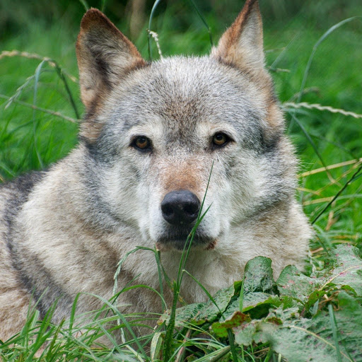 Hd-174829-ascw174829